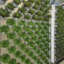 동향농장 이미지