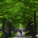 철길숲(학산동) 이미지