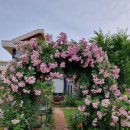 장미정원민박 이미지