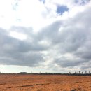 효준목장 이미지