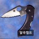 달곡(버스정류장) 네이버블로그