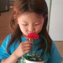 총림사아이숲유치원 이미지