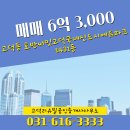 신도시 공인중개사 사무소 이미지