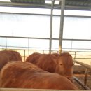 연흥농장 이미지