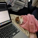 (주)소리안 | [종로 YBM 미친토익] 현강 후기 - 기본 주3 지원쌤 &amp; 세영쌤 ♡