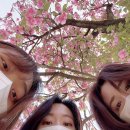 GS25월촌화성점 이미지