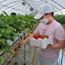 지희농장 이미지