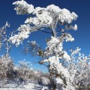 해질무렵 이미지