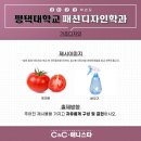 노은애니스타만화학원