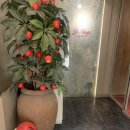 청담동 중식 맛집 이닝(Yi Ning) 평일 점심 런치 코스 요리 후기 상견례 자리 추천!! 강남구청역 맛집