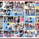 MTA 참 태권도 이미지