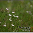 솔아한의원 이미지