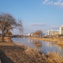 태평교 아래 천변 이미지