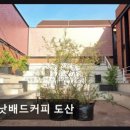 낫배드커피