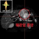 지앤이알파돔메디컬센터 의원 이미지