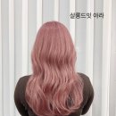 딸기미용실 이미지