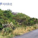 현목장 Daum카페