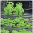 헌터사격장 | 야광탄 궤적과 도트사이트로 즐기는 대천해수욕장 헌터독 무인사격장 방문 후기