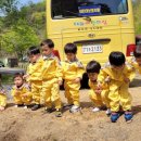 태화어린이집 이미지