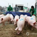 김경태농장 이미지