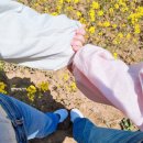 선이네밥집 - 제주시 | 선이네밥집