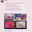 다운축산 | 부모님 첫인사 선물 마장동 한우 세트 신부축산 추천 (할인방법, 주차가능)