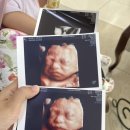 (둘째임신 28주~32주 기록) 또동이와 함께 하루하루 일상