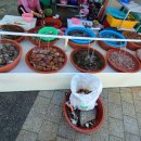 풍천죽집 이미지