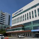 100:0 후방 추돌 교통사고 합의 과정 후기