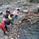 본아미강남어린이집 이미지