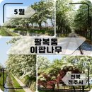 철길농장 티스토리
