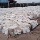 내가보메디텍 이미지