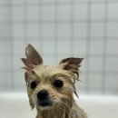 반자주 엘시티점 이미지