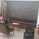 야탑 반려견 | 인생 머리 찾았다! 펌 맛집 '아일로헤어' 솔직 후기 feat. 야탑미용실