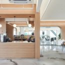 로뎀트리 이미지