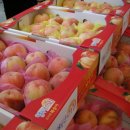 상아농장2 이미지