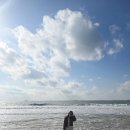 향토꽃게장 | 보령 게국지 맛집｜풍미 꽃게장·게국지 솔직 후기 + 대천 겨울바다