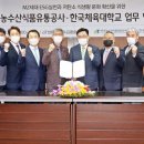 한국체육대학교 이미지