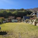 서문경농협 농암지점 이미지