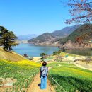 사가정공원 관리사무실 화장실 | [전남 구례 수선화 명소] 지리산 치즈랜드 일주일 전 개화 상황과 지리산 호수공원 둘레길 솔직 후기