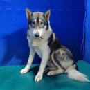 남천축사 이미지