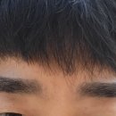 브로우즈맨