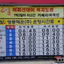 출렁다리 민박 이미지