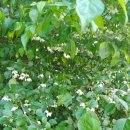 감로한의원 이미지