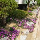 우방1차 경로당 이미지