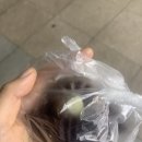 노이베이크샵 | 빵이 없어...