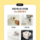 라이브펫 이미지