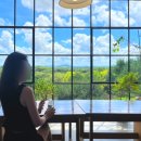 신농장 | 충남 당진/예산 여행 - 아그로랜드 태신목장 카페 &#34;우유농가&#34; 주말 점심 방문 후기