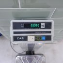 해뜨는 해수월드 이미지