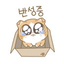 신안 퍼블릭 CC 이미지